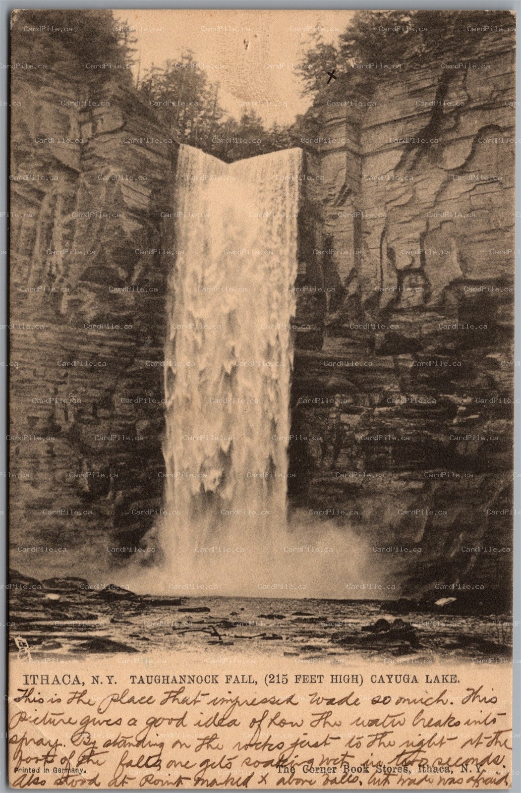 Postcard Ithaca New York c1906 Taughannock Falls Scenic View by Tuck