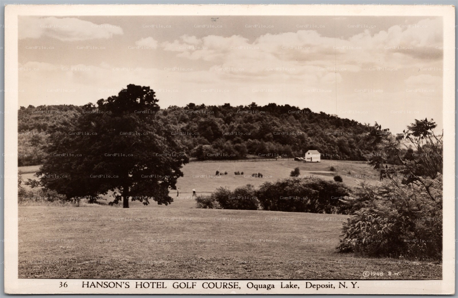Postcard RPPC c1948 Deposit New York Hanson's Hotel Golf Course Oquaga Lake A