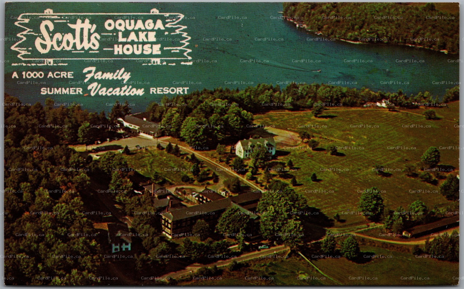 Postcard Deposit New York Oquaga Lake House Aerial View Green Gables & Casino