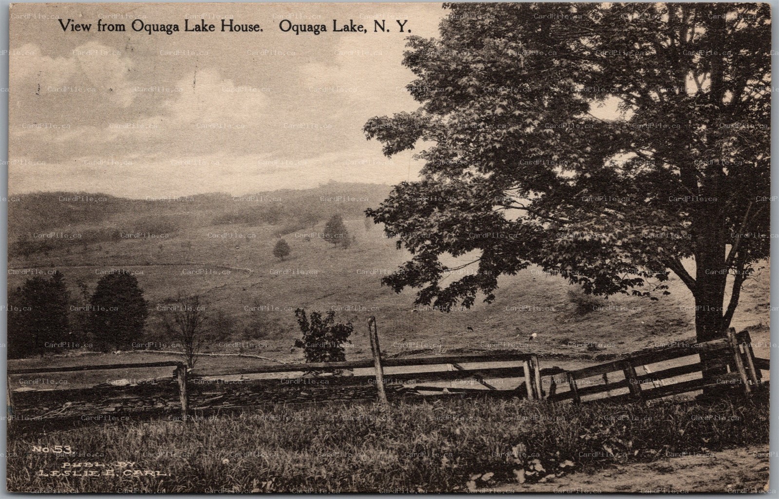 Postcard Oquaga Lake New York c1917 Scenic View Albertype Leslie E. Carl