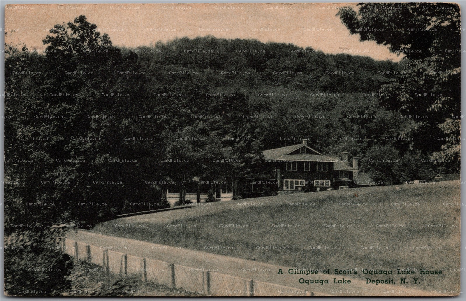 Postcard Deposit New York c1946 Scott's Oquaga Lake House Bathing Albertype