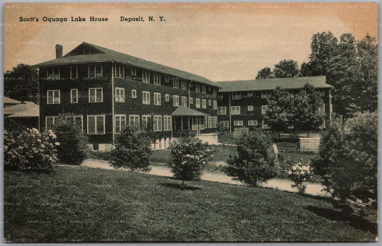 Postcard Deposit New York Scott's Oquaga Lake House Broome County by Albertype B
