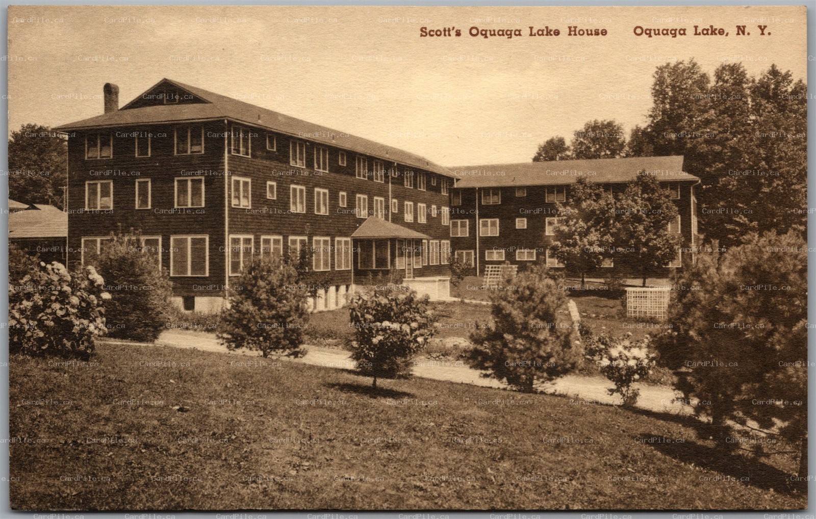 Postcard Deposit New York Scott's Oquaga Lake House Broome County by Albertype D