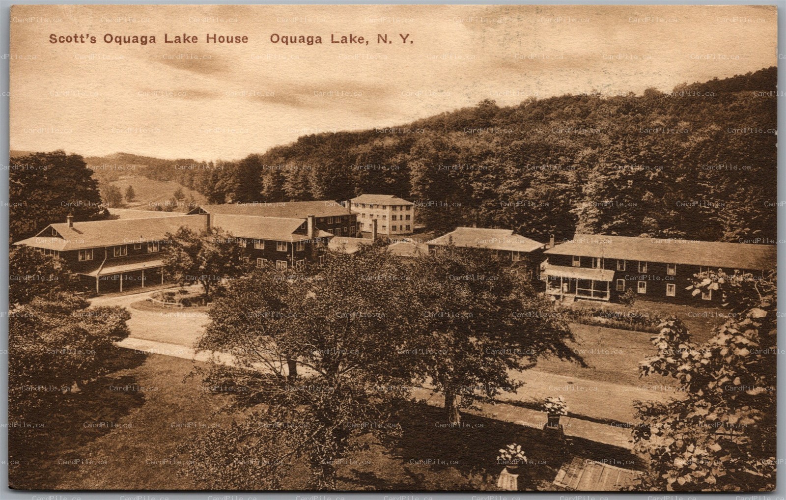 Postcard Deposit New York Scott's Oquaga Lake House Broome County by Albertype E