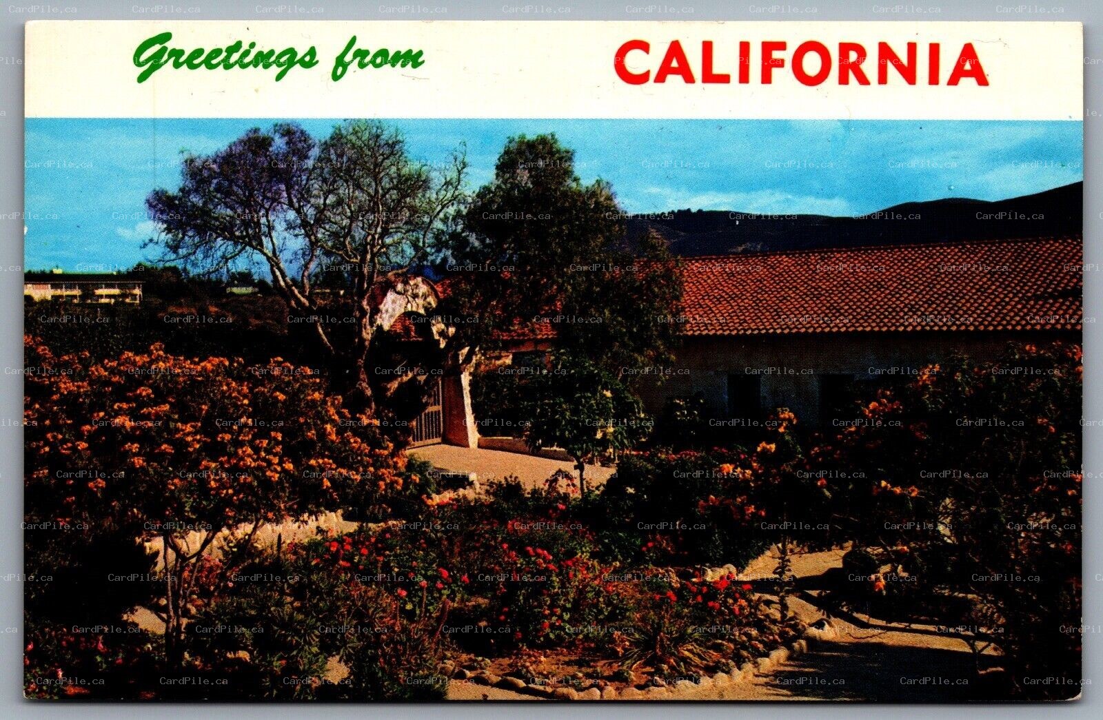 Postcard c1960s Greetings from California Garden View