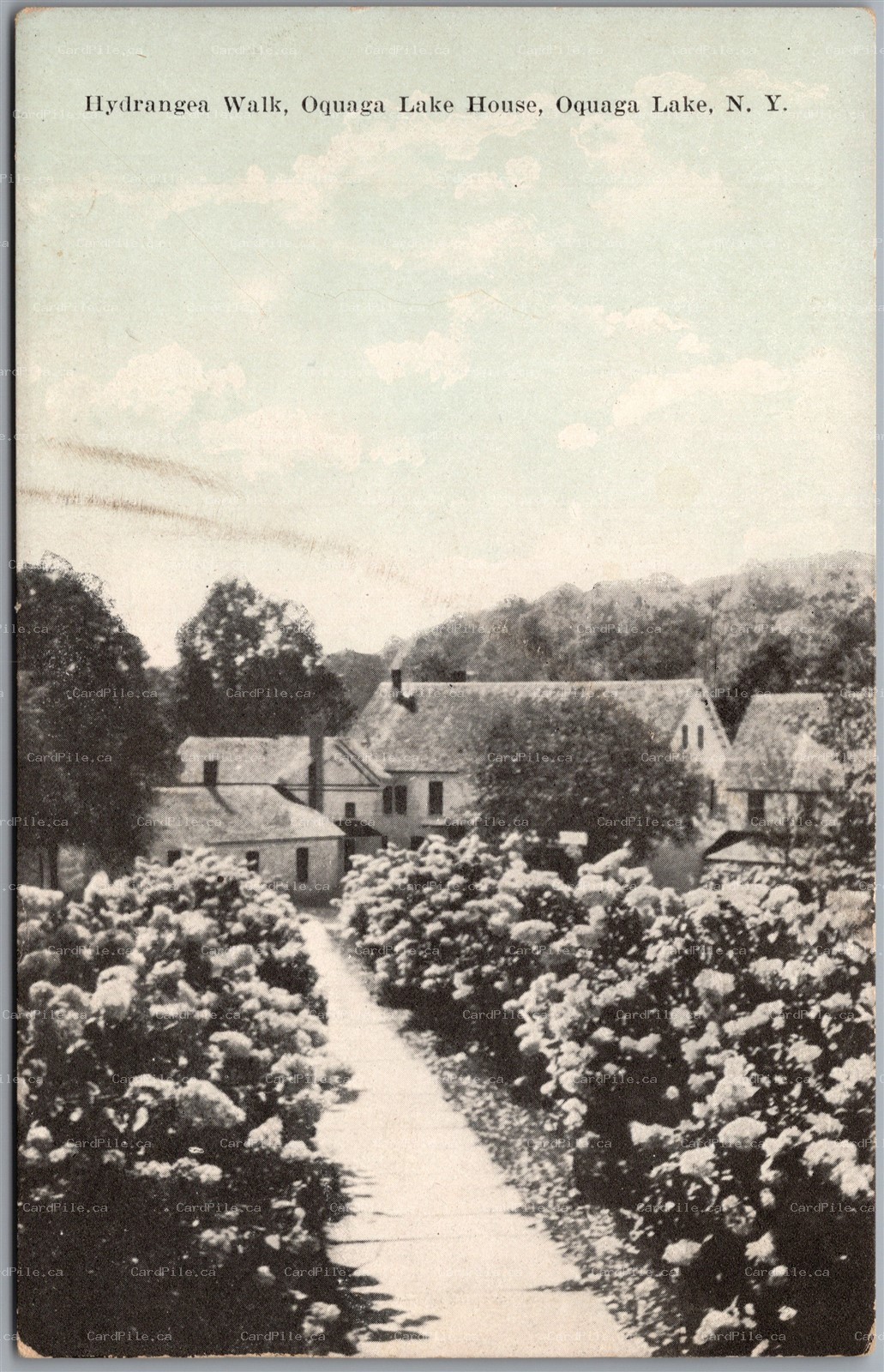 Postcard Oquaga Lake New York Lake House Hydrangea Walk 