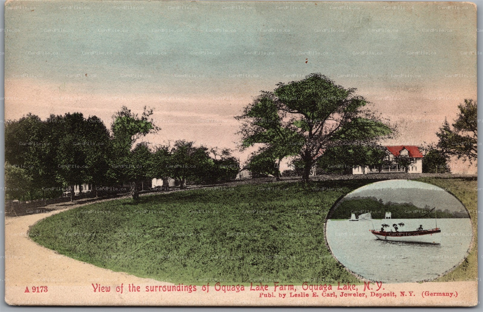 Postcard Oquaga Lake New York c1911 Farm View of The Surroundings Leslie E. Carl