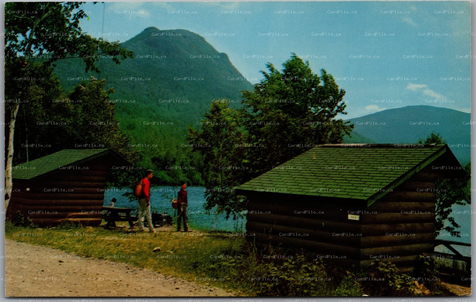 Postcard Baxter State Park Maine South Branch Pond Campsite Traveler Mts