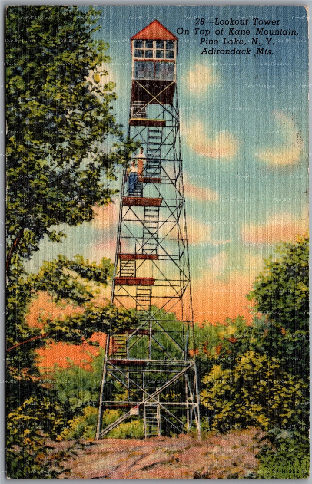 Postcard Pine Lake New York c1954 Lookout Fire Tower Kane Mountain Adirondacks