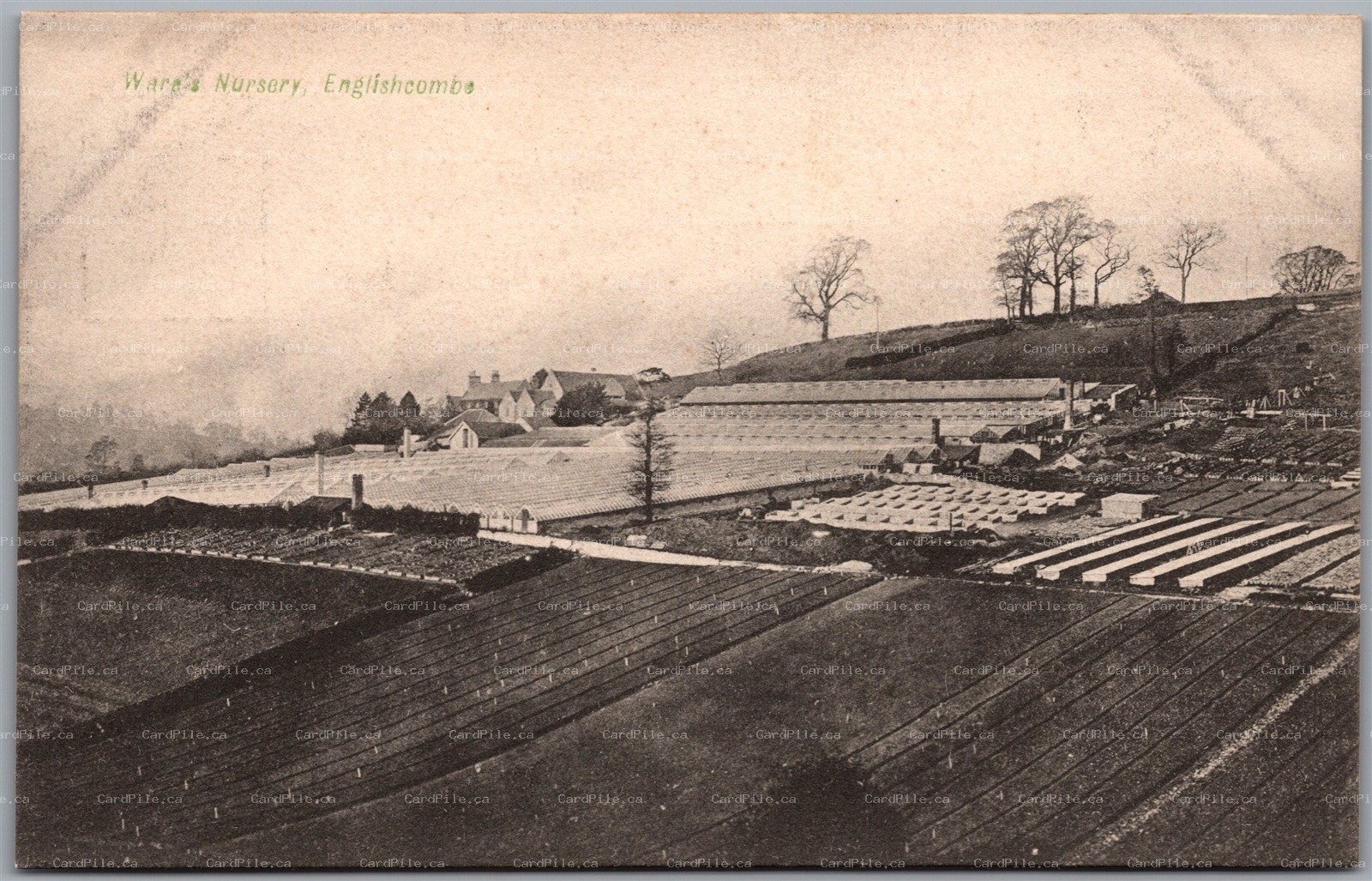 Postcard Englishcombe England c1910s Walter Ware's Nursery by H. Long of Bath
