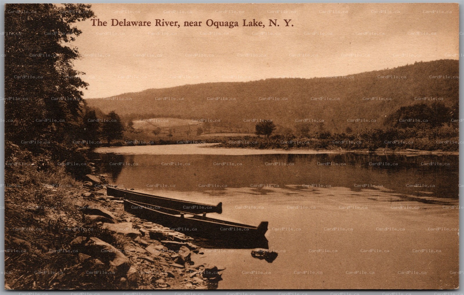 Postcard Oquaga Lake New York The Delaware River Scenic View by Albertype