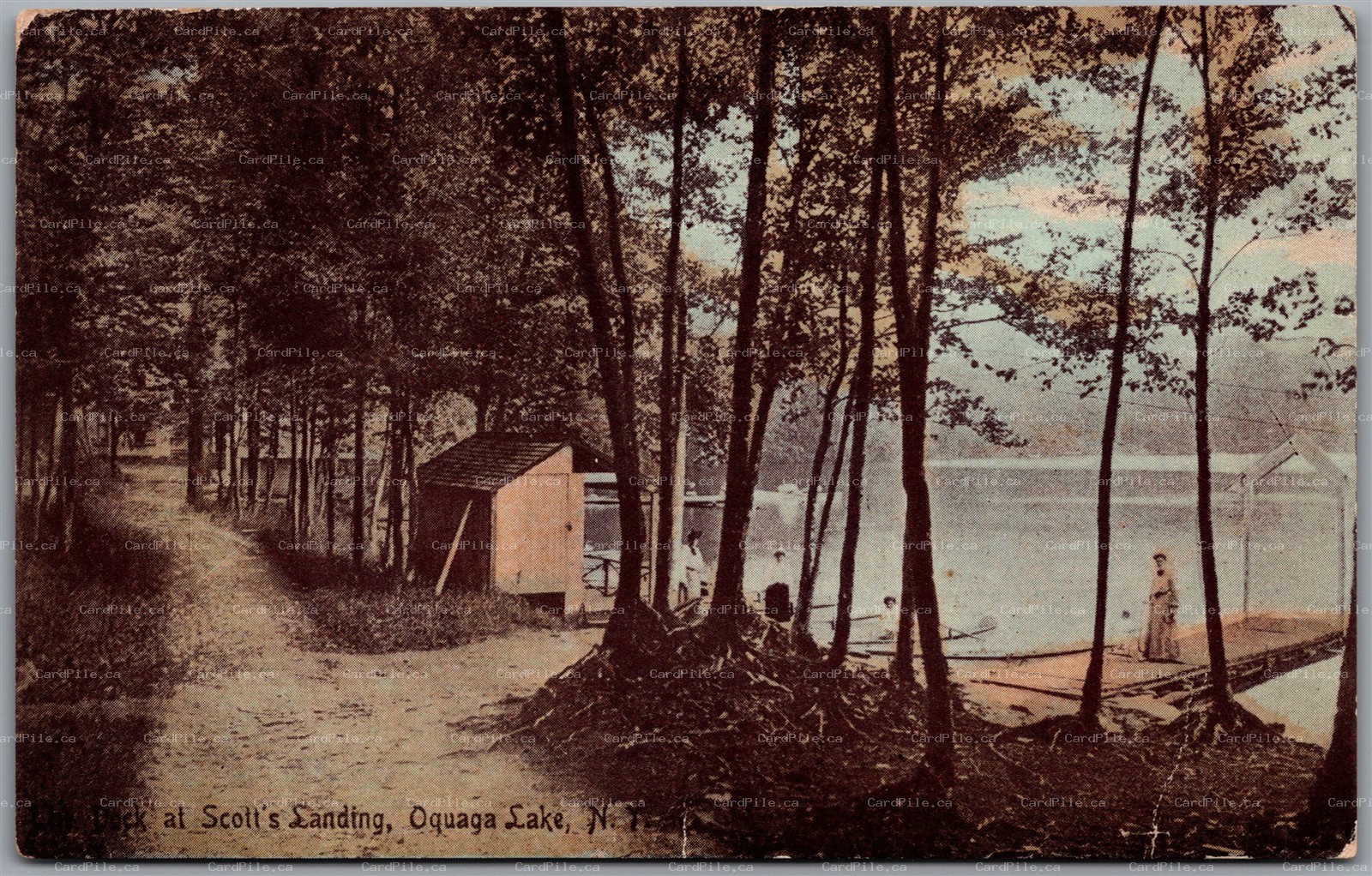 Postcard Oquaga Lake New York c1915 Dock at Scott's Landing Scenic View