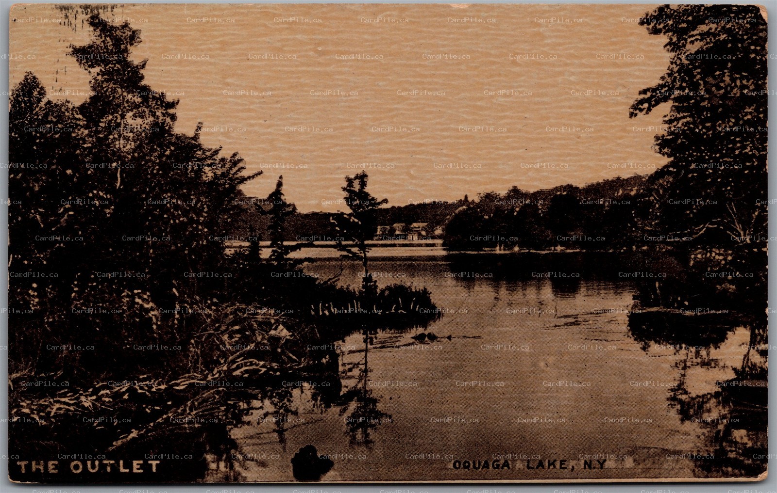 Postcard Oquaga Lake New York c1910s The Outlet