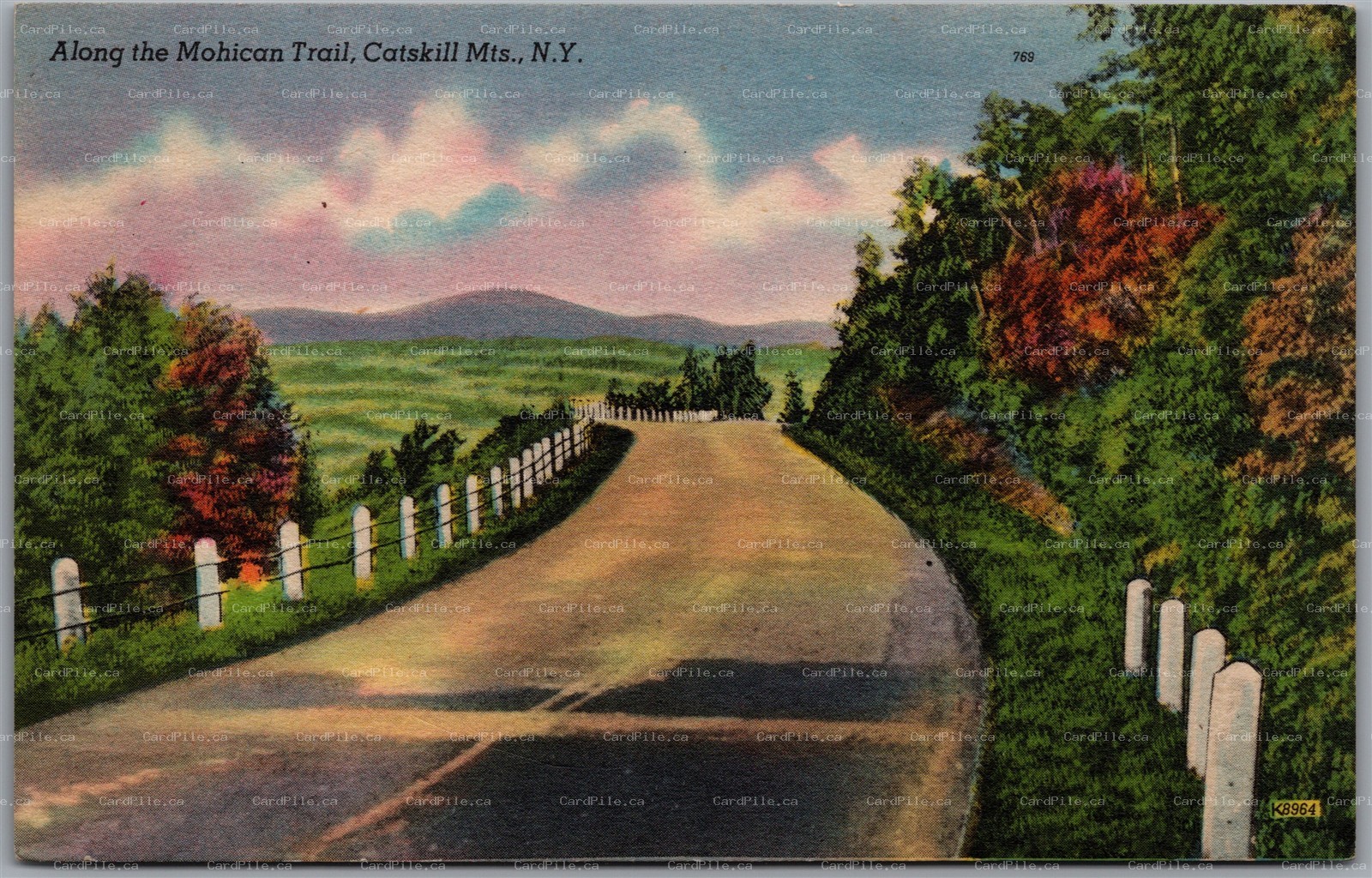 Postcard Catskill Mountains New York Along the Mohican Trail Scenic View