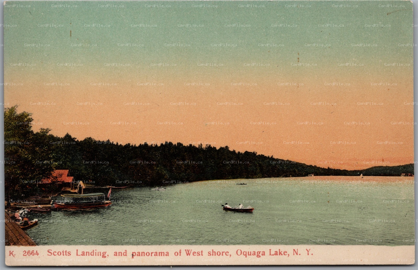 Postcard Oquaga Lake New York c1910s Scotts Landing and Panorama of West Shore
