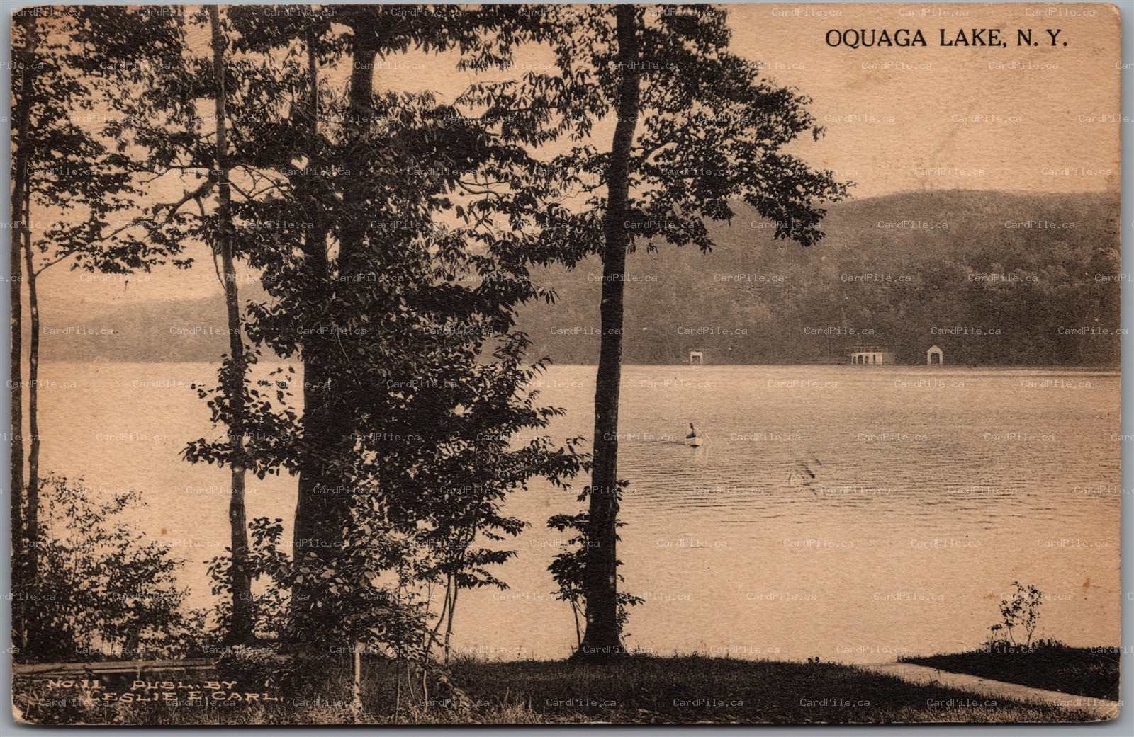 Postcard Oquaga Lake New York c1914 Scenic View by Albertype Leslie E. Carl