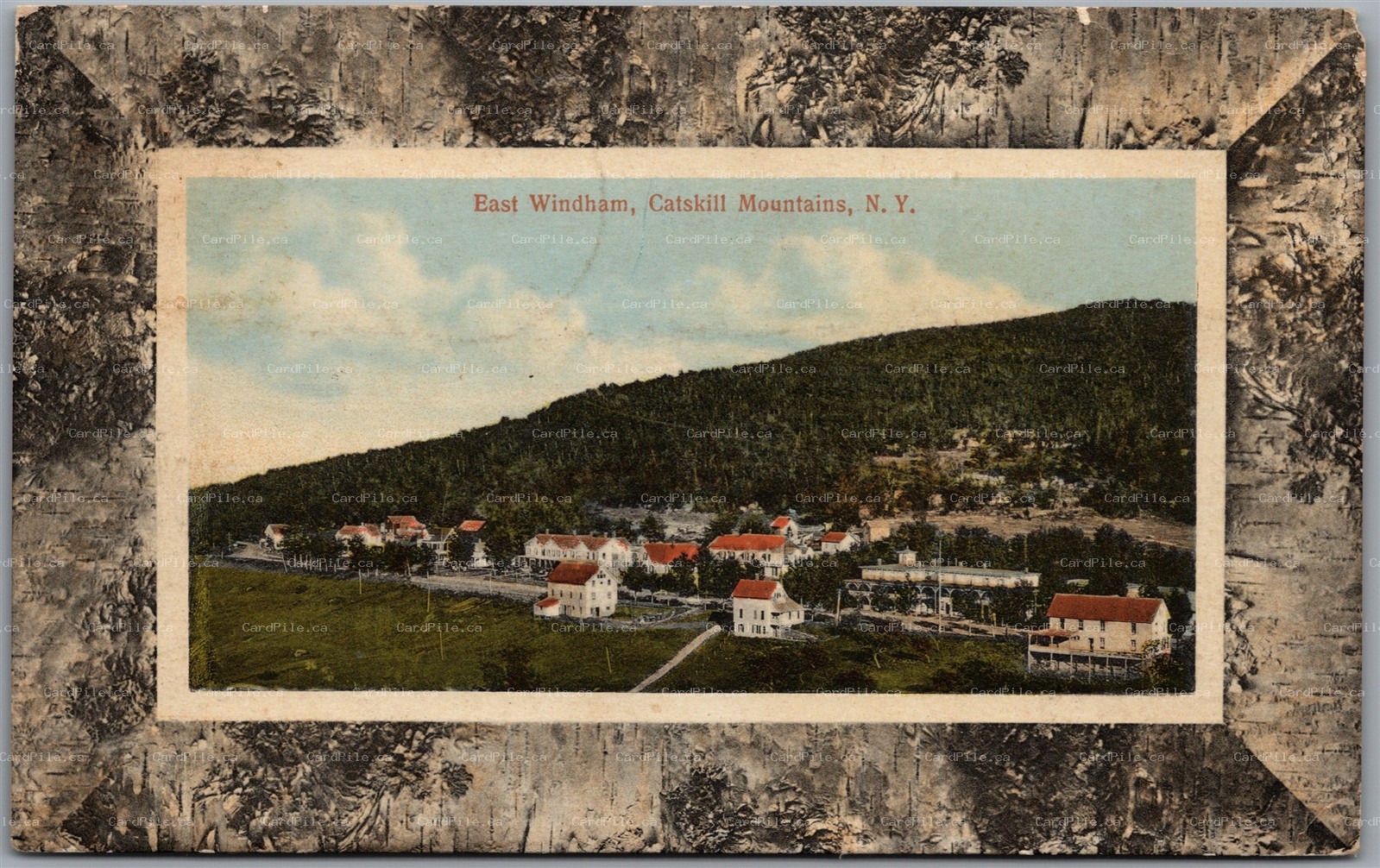 Postcard East Windham New York c1919 Catskill Mountains Scenic View Wood Border