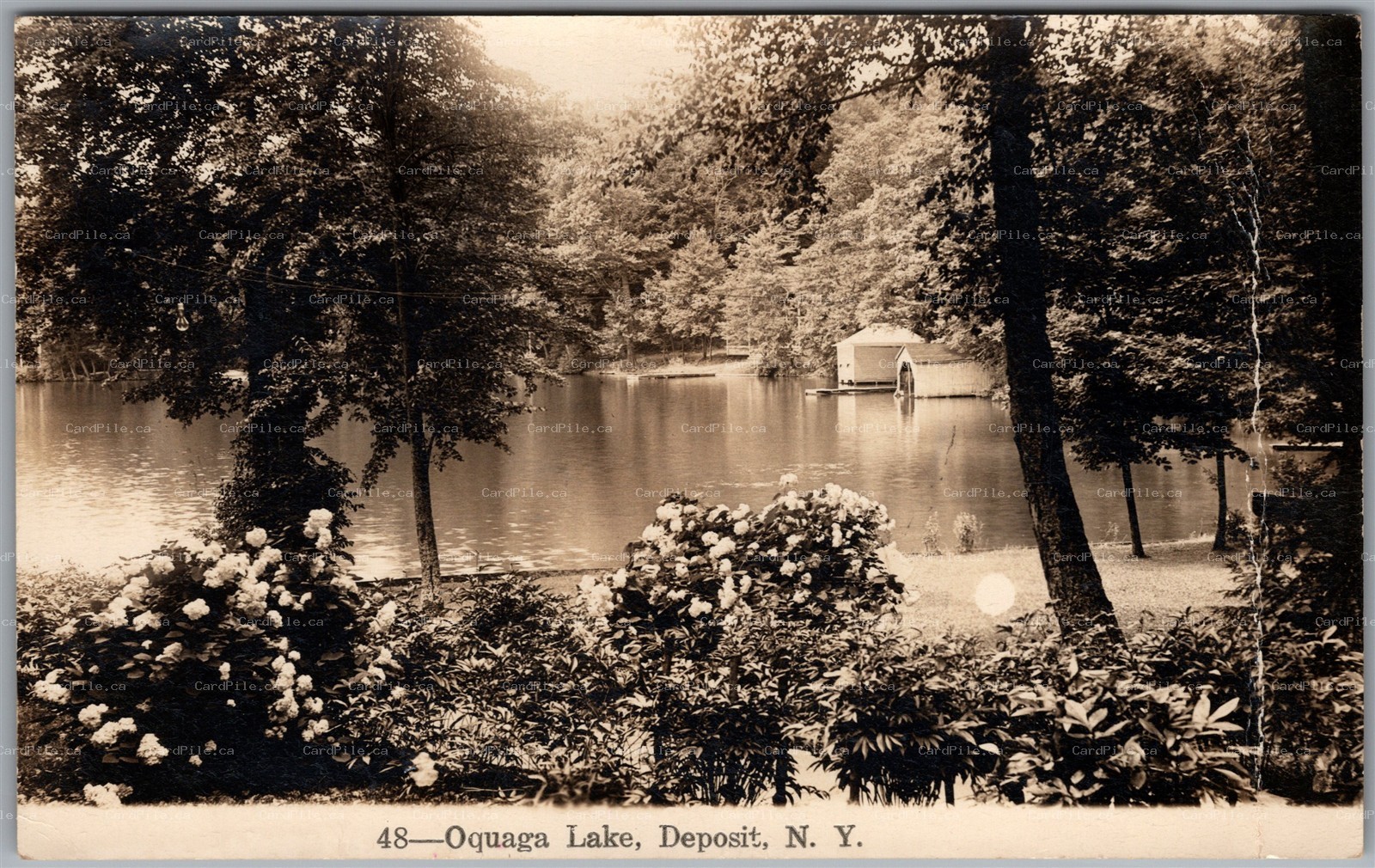 Postcard RPPC Oquaga Lake Deposit New York Scenic View Boathouse *as is*