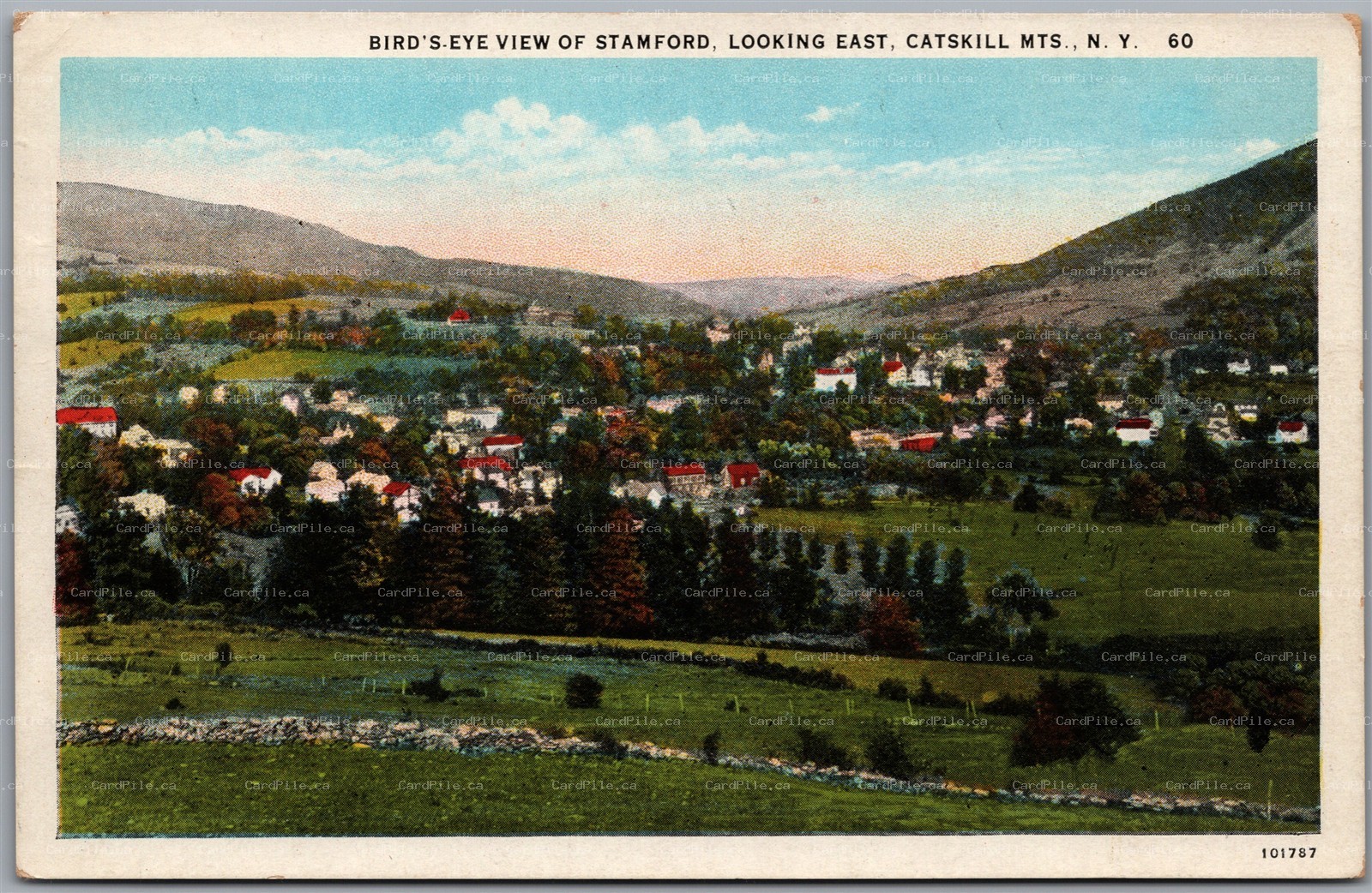 Postcard Stamford New York Bird's Eye View Looking East Catskill Mountains