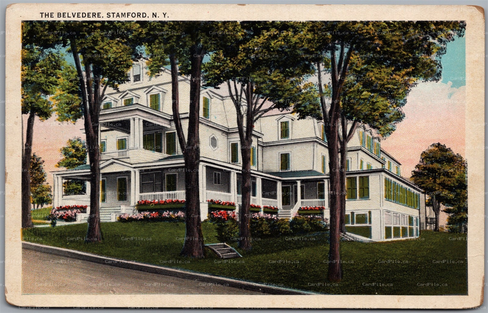 Postcard Stamford New York c1920s The Belvedere Catskill Mountains