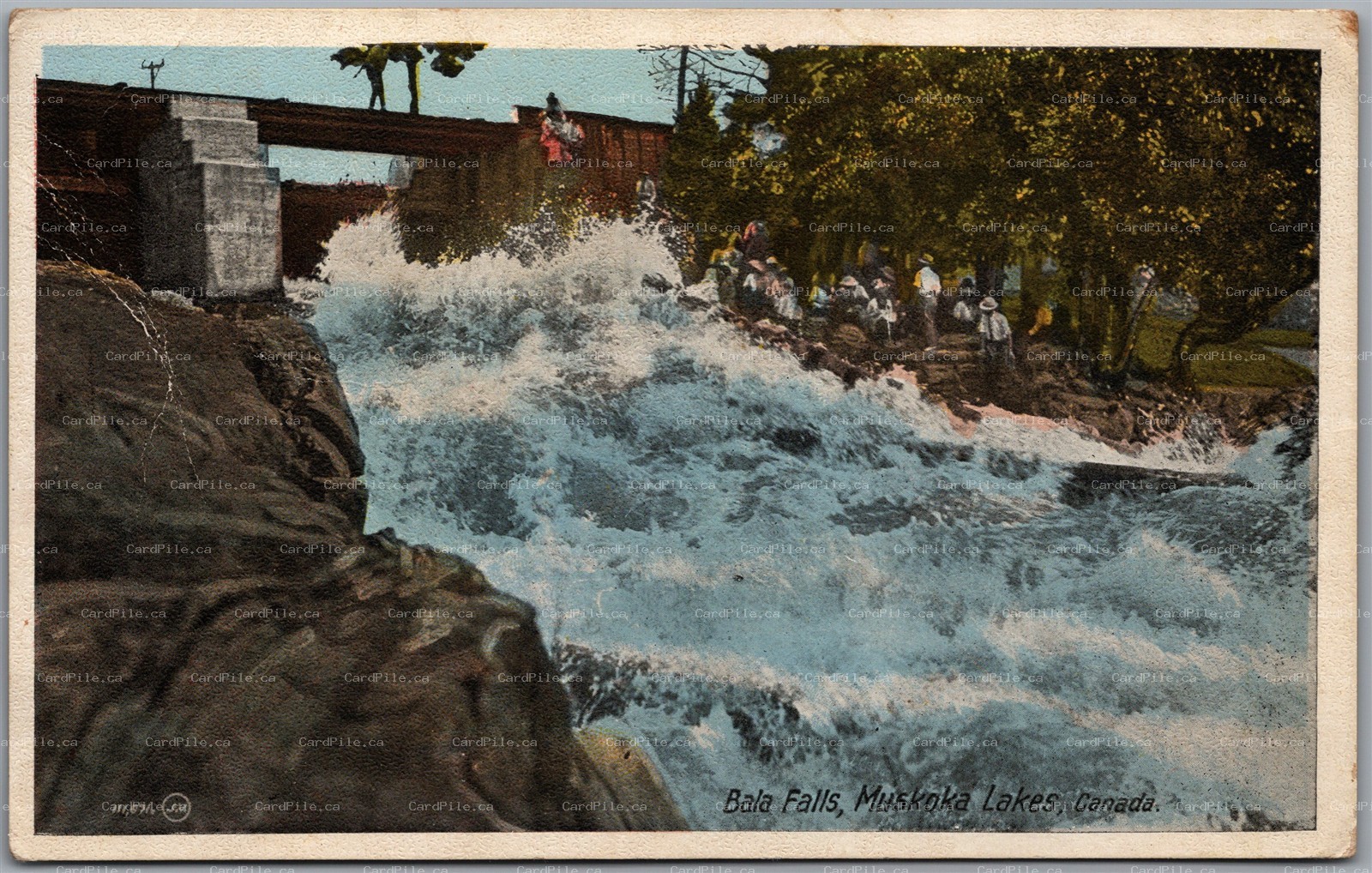 Postard Bala Muskoka Lakes Ontario Waterfalls Scenic View