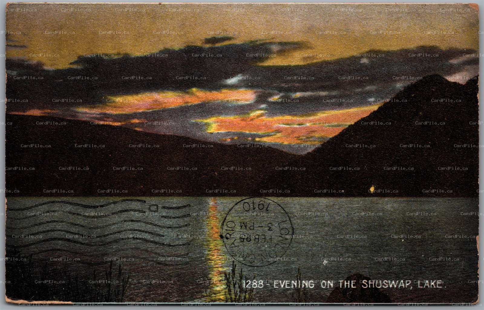 Postcard Shuswap Lake British Columbia c1910 Scenic Evening View by Thompson's