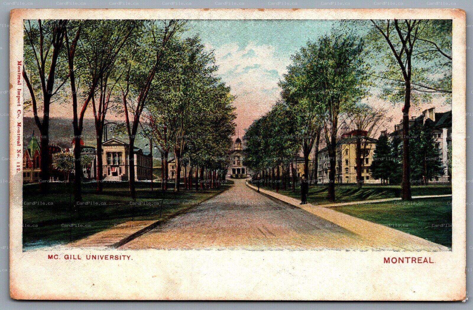 Postcard Montreal Quebec c1921 McGill University Street View