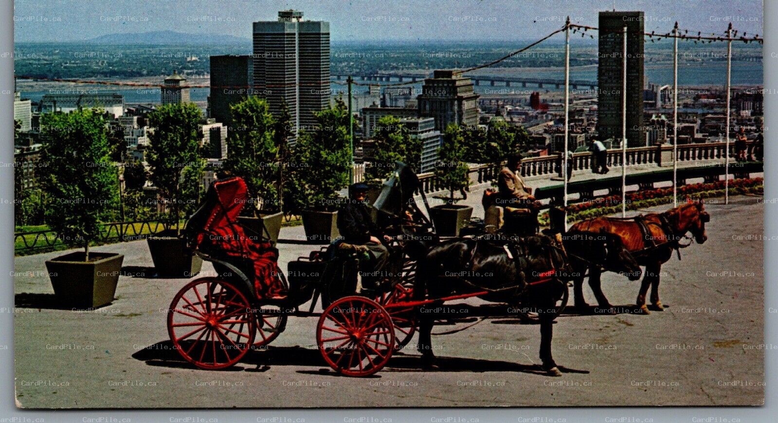 Postcard Montreal Quebec c1967 Old French Horsedrawn Carriages on Mount Royal