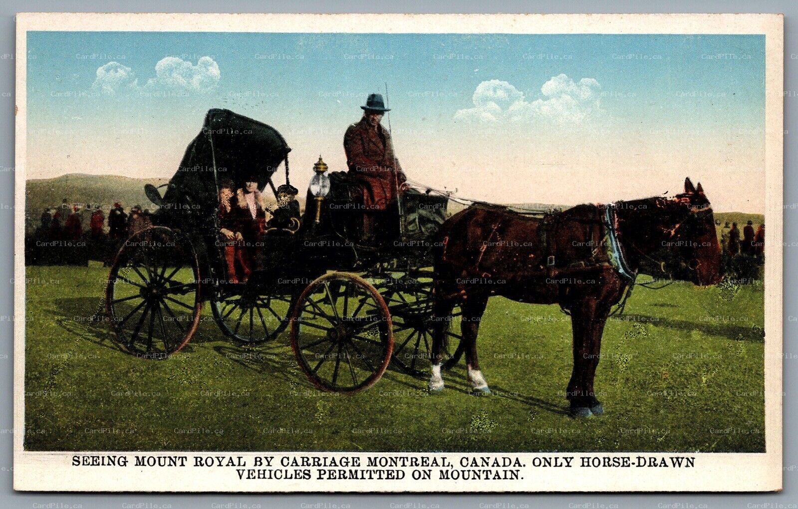 Postcard Montreal Quebec c1920s Seeing Mount Royal by Carriage Only Horse Drawn
