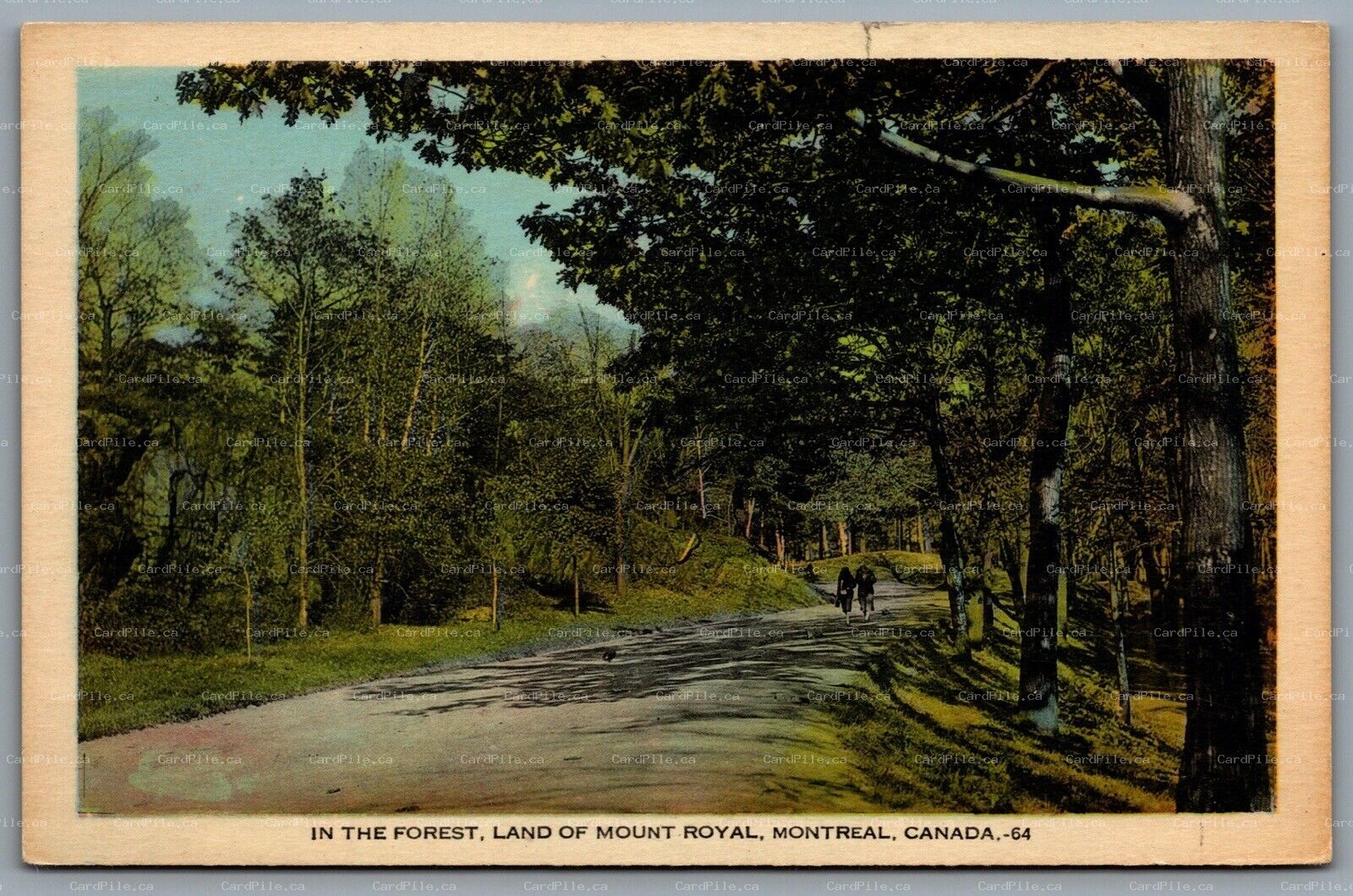 Postcard Montreal Quebec c1930s In The Forest Land of Mount Royal