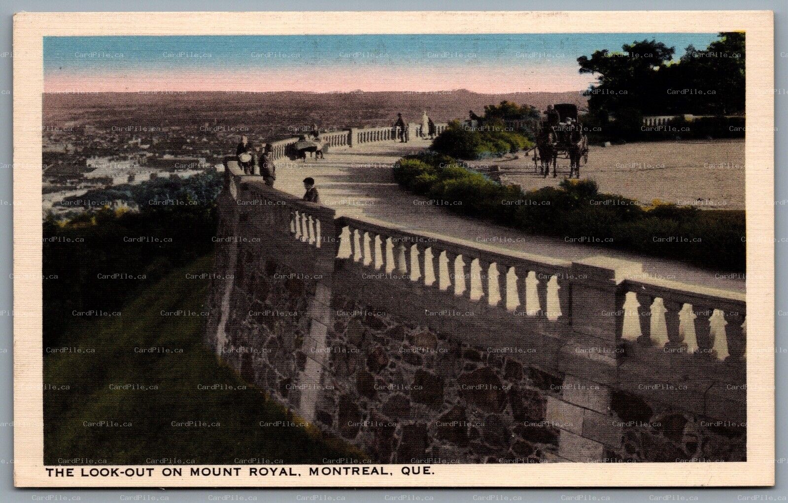 Postcard Montreal Quebec c1930s The Look Out On Mount Royal Horse Buggy