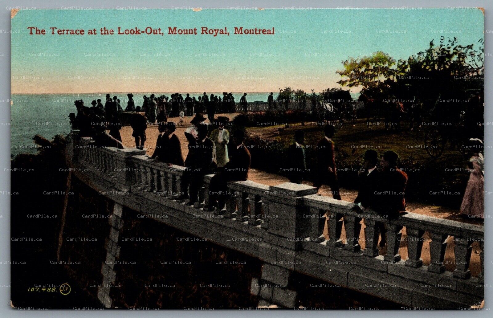 Postcard Montreal Quebec c1910s The Terrace at the Look Out Mount Royal Buggies