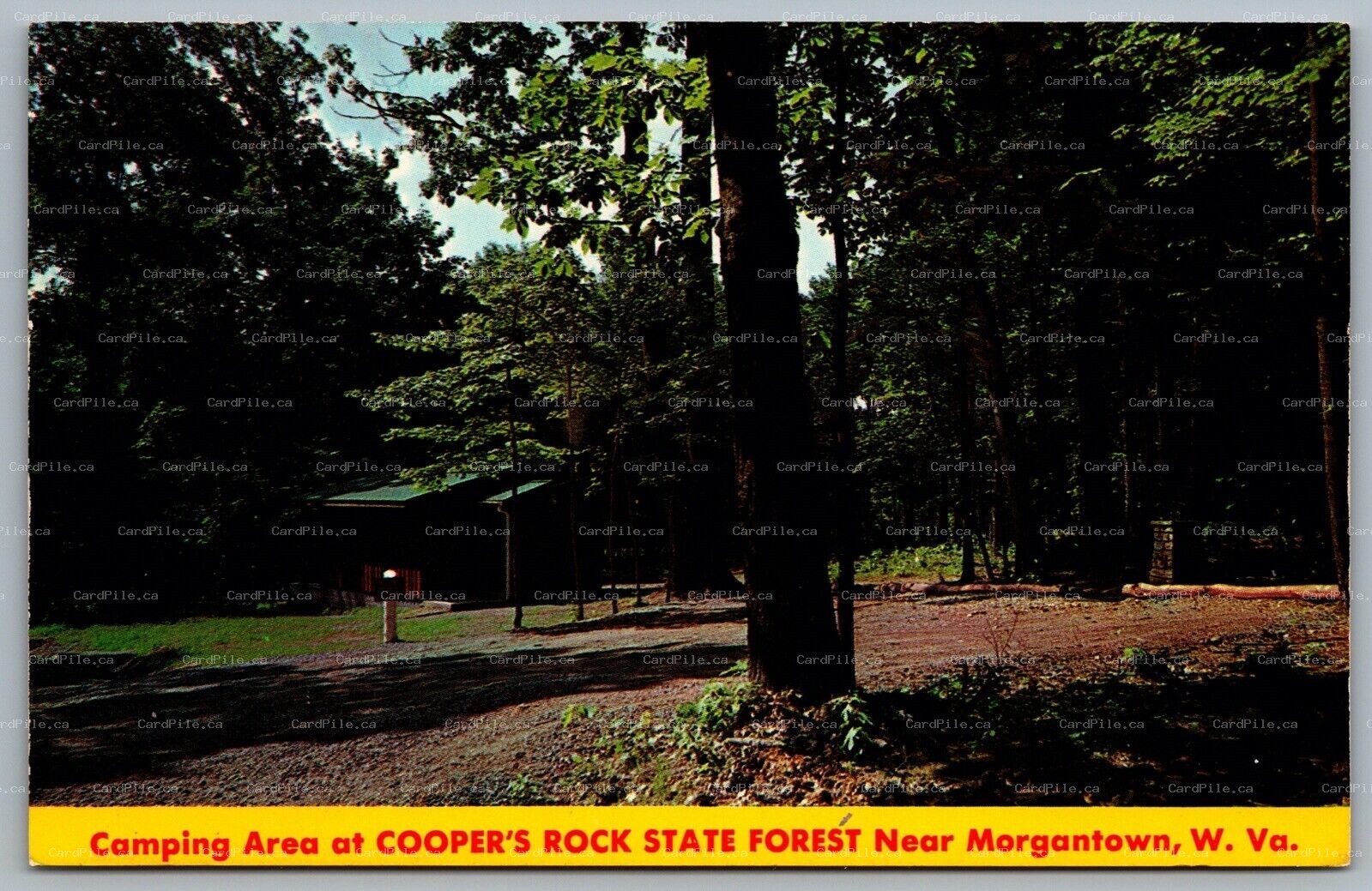 Postcard Morgantown WV c1960s Camping Area at Cooper’s Rock State Forest