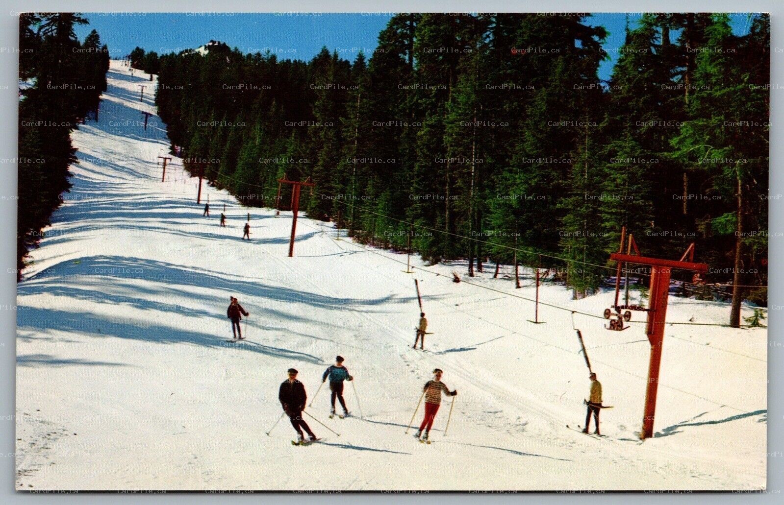 Postcard Mt. Ashland Oregon c1960s Skiing Siskiyou Mountains Ski Lift